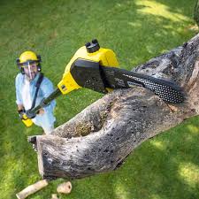 Best Tree Trimming and Pruning  in Madison, IL