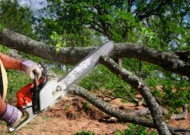 Best Utility Line Clearance  in Madison, IL