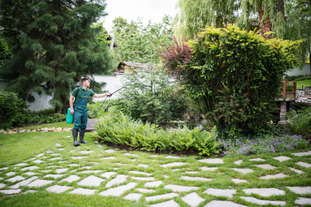 Best Root Management and Removal  in Madison, IL
